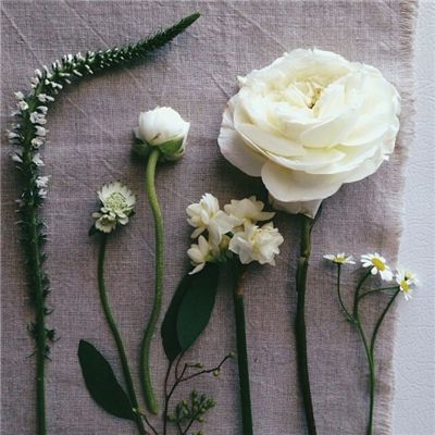 广东领益智造股份有限公司关于为子公司提供担保的进展公告